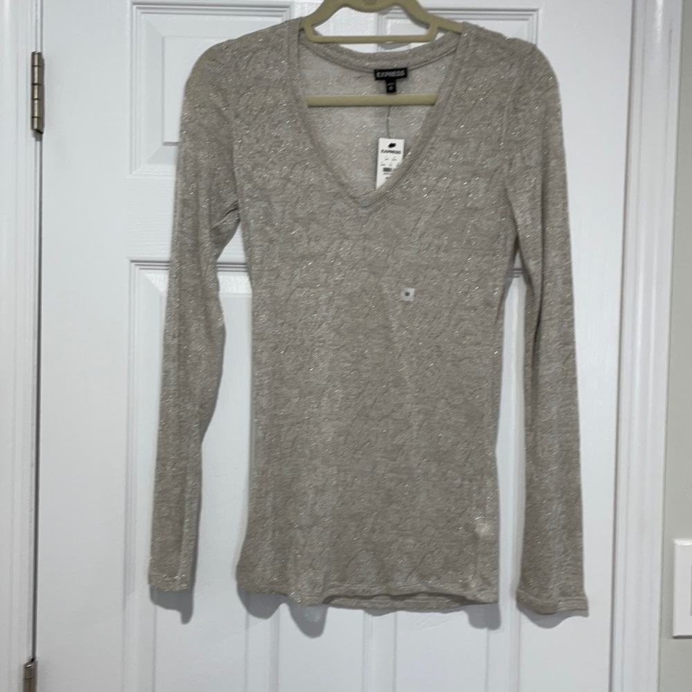 Express Sparkly Long Sleeve Top